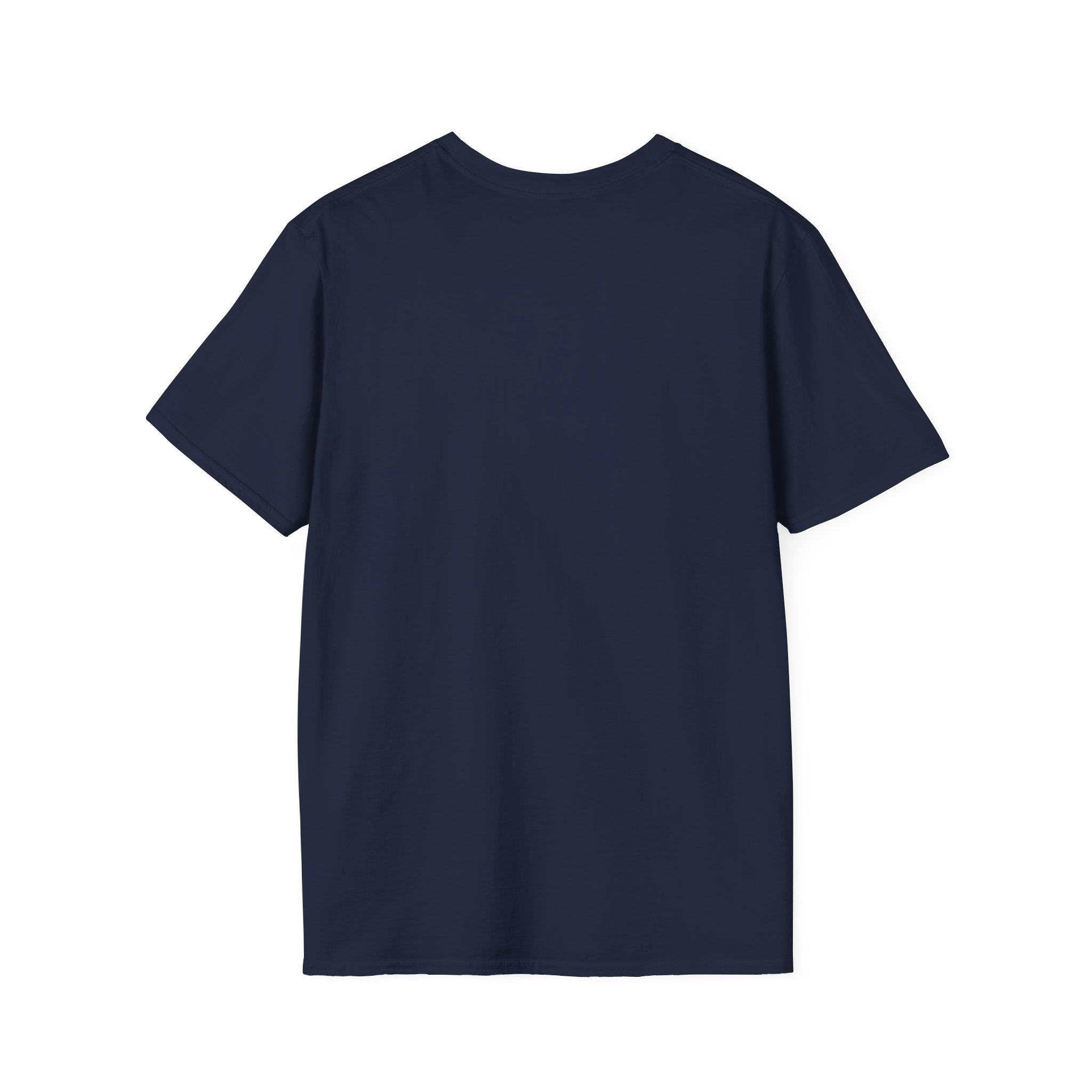 Liberty & Justice And Low Level Panic 250th Anniversary T-Shirt — Vintage Independence Celebration Tee